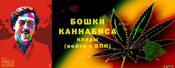 мдпв Россошь
