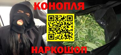 гидра Заволжье