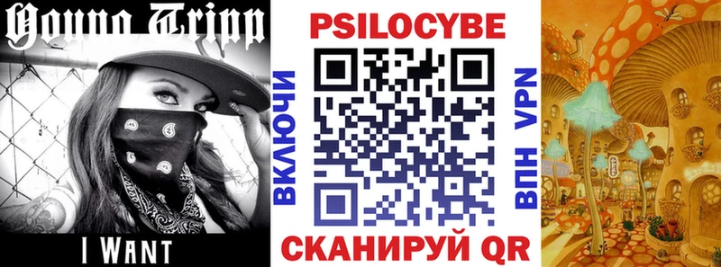 omg ТОР  что такое наркотик  Лыткарино  Псилоцибиновые грибы мухоморы 