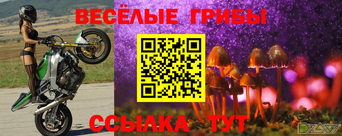 Галлюциногенные грибы ЛСД  Галлюциногенные грибы мицелий  Вход с VPN  Лыткарино 