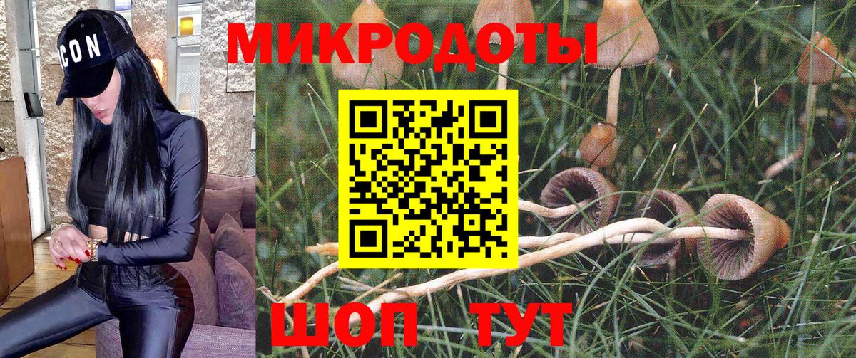 Галлюциногенные грибы прущие грибы  дарнет шоп  Лыткарино 